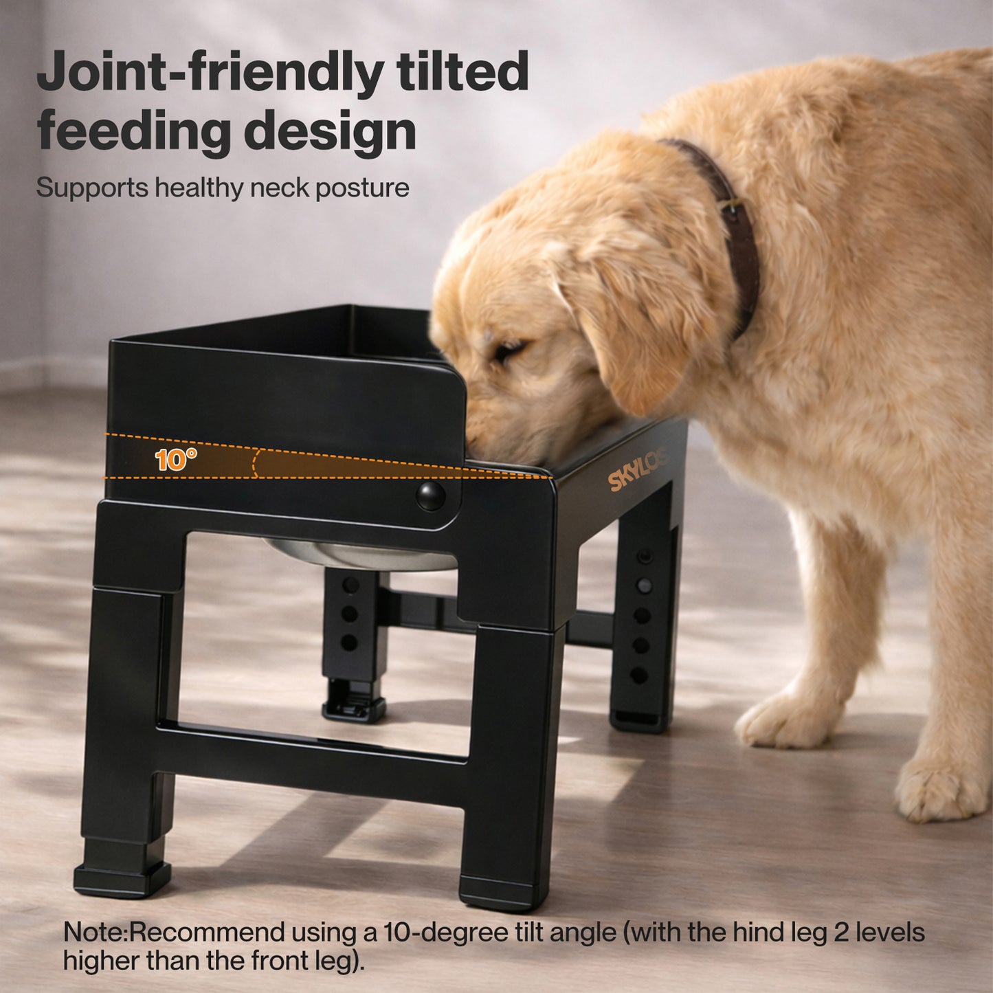 Skylos Dog Bowls Elevated with Stand Stainless Steel Bowl 6 Height Adjustable